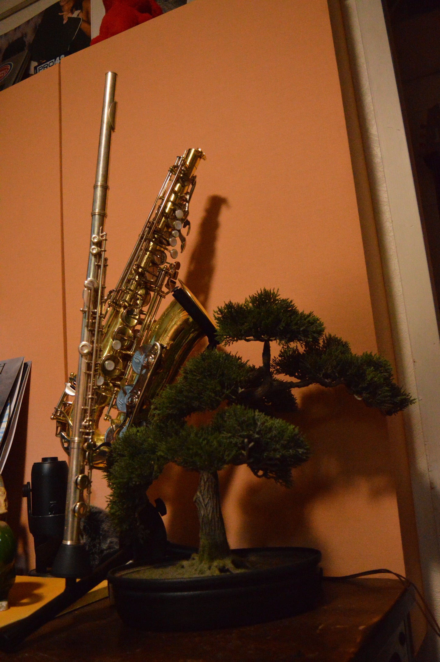 Client Recording Session
